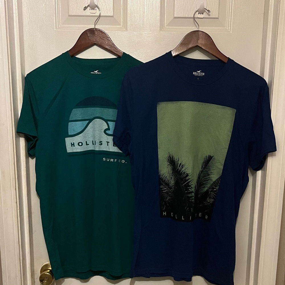 Hollister Men's Tees in Green and royal blue